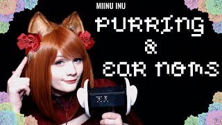 ASMR Cat Girl Purring and Ear Schlurping [upl. by Navak]