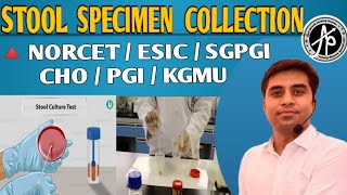 stool specimen collection stool specimen collection procedure [upl. by Aivad177]