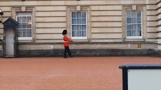 Guardsman in Trouble Over Buckingham Palace Pirouette  Forces TV [upl. by Elliven]