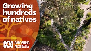 How a plant lover grew hundreds of native plants  Garden Inspiration  Gardening Australia [upl. by Nnarefinnej]