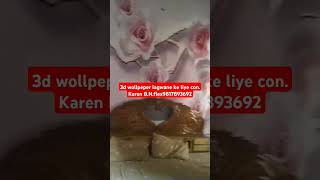 3d wollpepar lagwane ke liye conkaren BN flex9817893692 [upl. by Awahsoj]