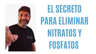 Cómo eliminar nitratos y fosfatos Super fácil [upl. by Ydnas]