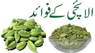 Elaichi khane ke fayde in urdu Green cardamom Health Benefits [upl. by Helbonna]