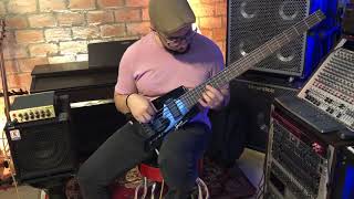 Steinberger Spirit XT25 Demo [upl. by Pish21]