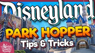 Park Hopping at Disneyland Ultimate Guide  Tips amp Strategy [upl. by Latta986]