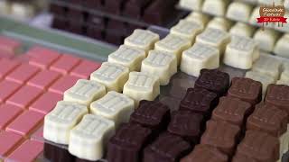 Chocolade Festival Zutphen Aftermovie 2024 [upl. by Airetal]