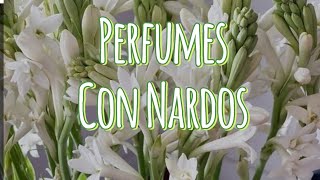 PERFUMES CON NARDOS parte 1 [upl. by Eednyl452]