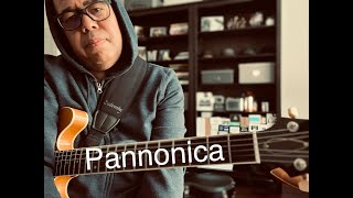 Pannonica Solo Guitar [upl. by Lisbeth]