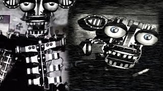 SECRET ANIMATRONIC  Five Nights At Freddys 2  Part 4 Full Game [upl. by Etnauq263]