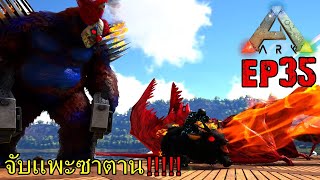 BGZ  ARK PRIMAL VALHALLA EP35 จับเเพะซาตาน [upl. by Hoopen]