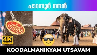 പാറന്നൂര്‍ നന്ദന്‍🔥❤️😍 4K Video [upl. by Keller]