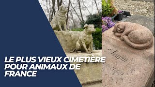 Découvrez le plus vieux cimetière pour animaux de France [upl. by Stickney]