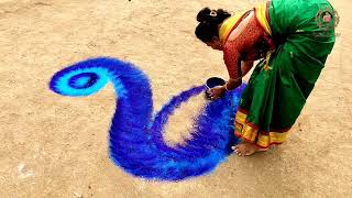 Peacock Rangoli design  biggest rangoli design  रंगोली [upl. by Ojyram]