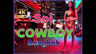 BANGKOK SOI COWBOY It Looks Like A Fantastic Place to Pick Up 🇹🇭 LOVE THAILAND 2024 [upl. by Naujat]