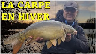 ðŸŽ¥ðŸŽžPÃªcher la carpe en hiverðŸ¤ŸðŸ’ª [upl. by Lipcombe]