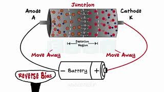 Diodes  What Are Diodes  PN Junction  Forward Bias  Reverse Bias  Zener Diodes [upl. by Llenyt]