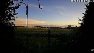 2 weather cams Weather Forecast for Georgetown on 20240908 [upl. by Whang]