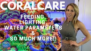 Coral Care  Feeding Lighting Reef Parameters amp More  Mindis Coral Reef [upl. by Etnelav249]