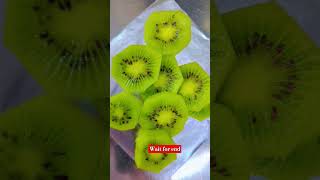 fruit kiwifruit kiwi amazingfacts factsinhindi food minivlog [upl. by Awjan]