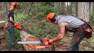 Wild new chainsaw muffler bolted up and cutting trees [upl. by Spalding567]