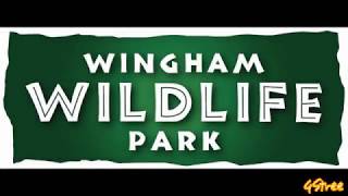 Wingham Wildlife Park [upl. by Darrel937]