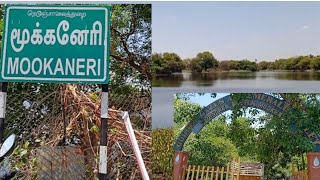 mookaneri lake  kannakurichi  salem tamilnadu famous [upl. by Ecinehs]