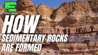 Sedimentary Rocks and Life Beyond Fossil Fuels Can We Thrive Sustainably [upl. by Nahc]