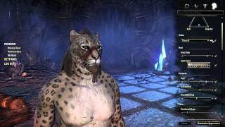 The Elder Scrolls Online Beta  Khajiit Character Customization [upl. by Thomasina]