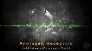 ANDROGEN RECEPTORS AR  Subliminals amp Morphic Fields Sensitivity amp Development [upl. by Lladnarc]