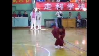 七星螳螂拳  拦截 Qi Xing Tanglang QuanLanjie Huo Rui Ting [upl. by Ecirtram]