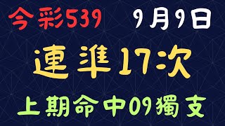 今彩539｜連準17次｜少年狼539｜9月9日｜上期命中09獨支 [upl. by Halueb146]