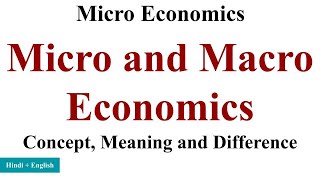 Micro and Macro Economics in hindi micro and macro economics difference Micro Economics bcom [upl. by Yuri396]