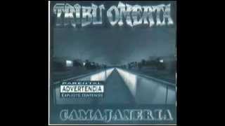 Tribu Omerta 12 Fieras [upl. by Vorfeld]