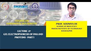 Lecture 27  Gel Electrophoresis of DNA and Proteins  Part I [upl. by Ferrigno]