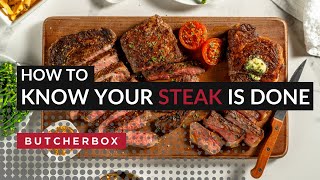 From Rare to WellDone Meat Temperatures for Perfect Steaks [upl. by Seuqirdor]