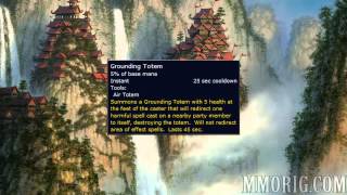 Paladin  Grounding Totem Stomp  MMORigcom [upl. by Berne]