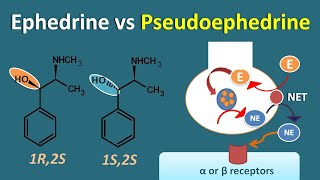 Ephedrine vs Pseudoephedrine  Similarities and differences [upl. by Lengel]