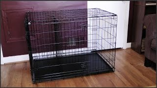 Dog Crate Setup [upl. by Wilburt]