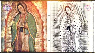 LA MUSCA NASCOSTA nel MANTELLO della MADONNA di GUADALUPE madonnaguadalupe [upl. by Dietrich73]