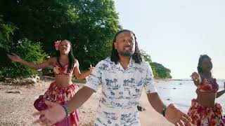 NOU DANSER clip officiel Lionnord [upl. by Balf129]