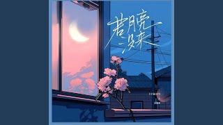 若月亮没来 DJ铁柱版 [upl. by Wylen]