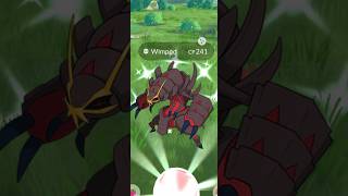 Getting Lucky With ✨Shiny Golisopod in pokemongo [upl. by Ahsinyt]