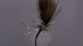 Black CDC emerger [upl. by Pressey]