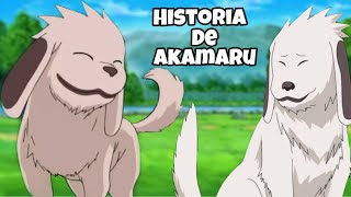 Naruto La Historia de Akamaru  Boruto La vida de Akamaru [upl. by Aufmann760]