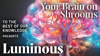 Luminous Your Brain on Shrooms [upl. by Roon]