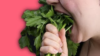 Ohne Fleisch aber lecker Die 6 besten VeggieFoods [upl. by Enihpled443]