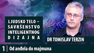 1 Od anđela do majmuna  dr Tomislav Terzin Savršenstvo inteligentnog dizajna [upl. by Atinav]