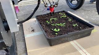 Autonomous modular mobile mechanical weeding robot  EcoTerrabot [upl. by Nahgem]