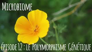 Microbiome  épisode 12  le polymorphisme génétique [upl. by Cristobal835]