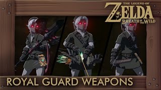 Zelda Breath of the Wild  All Royal Guard Weapons Complete Set Location [upl. by Bassett]